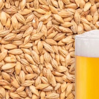 Beer Making