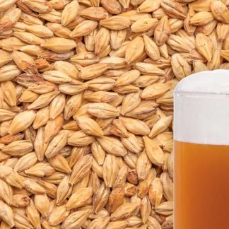 Specialty Malts
