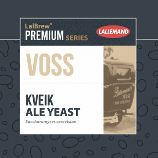 Beer Yeast