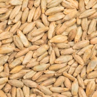 Rye Malts