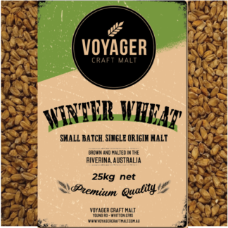 Voyager Winter Wheat